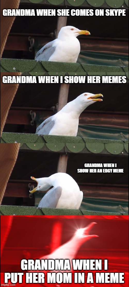 Great Grandma is in the photo | GRANDMA WHEN SHE COMES ON SKYPE; GRANDMA WHEN I SHOW HER MEMES; GRANDMA WHEN I SHOW HER AN EDGY MEME; GRANDMA WHEN I PUT HER MOM IN A MEME | image tagged in memes,inhaling seagull,skype,grandma,mom | made w/ Imgflip meme maker