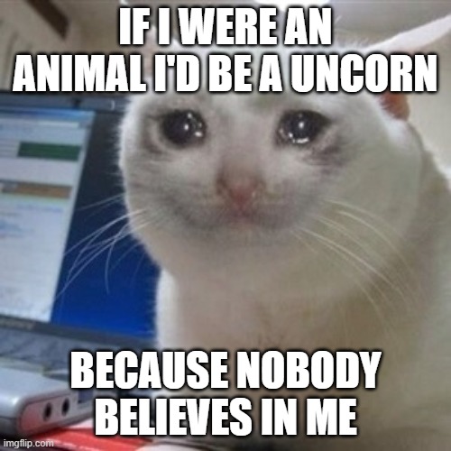 Crying cat | IF I WERE AN ANIMAL I'D BE A UNCORN; BECAUSE NOBODY BELIEVES IN ME | image tagged in crying cat | made w/ Imgflip meme maker