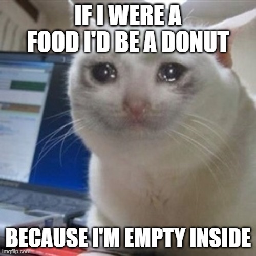 Crying cat | IF I WERE A FOOD I'D BE A DONUT; BECAUSE I'M EMPTY INSIDE | image tagged in crying cat | made w/ Imgflip meme maker