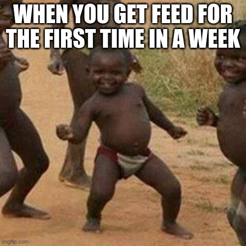 Third World Success Kid Meme | WHEN YOU GET FEED FOR THE FIRST TIME IN A WEEK | image tagged in memes,third world success kid | made w/ Imgflip meme maker