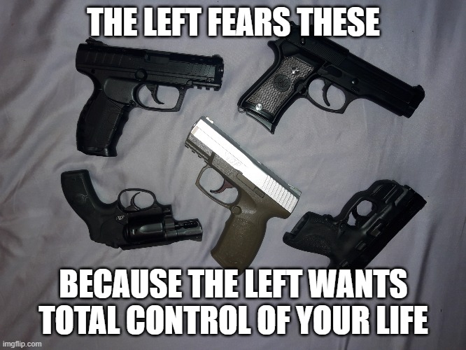 What the Left Wants | THE LEFT FEARS THESE; BECAUSE THE LEFT WANTS TOTAL CONTROL OF YOUR LIFE | image tagged in guns,leftists,gun control,control,political meme | made w/ Imgflip meme maker