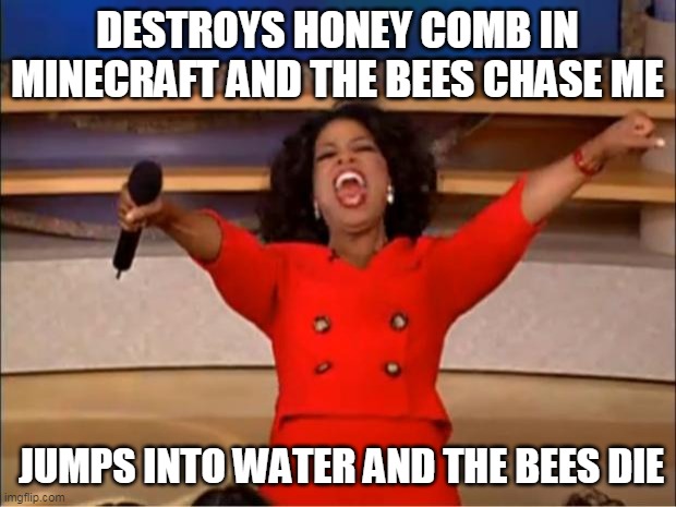 Minecraft Bees | DESTROYS HONEY COMB IN MINECRAFT AND THE BEES CHASE ME; JUMPS INTO WATER AND THE BEES DIE | image tagged in memes,oprah you get a | made w/ Imgflip meme maker