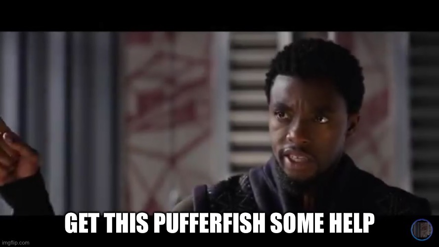 Black Panther - Get this man a shield | GET THIS PUFFERFISH SOME HELP | image tagged in black panther - get this man a shield | made w/ Imgflip meme maker