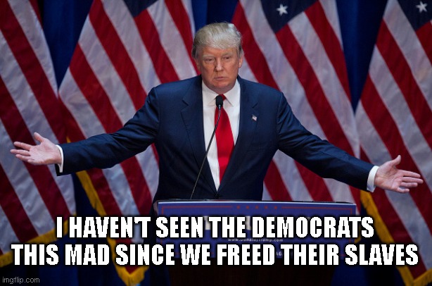 Trump 2020 | I HAVEN'T SEEN THE DEMOCRATS THIS MAD SINCE WE FREED THEIR SLAVES | image tagged in donald trump,trump 2020,conservatives | made w/ Imgflip meme maker