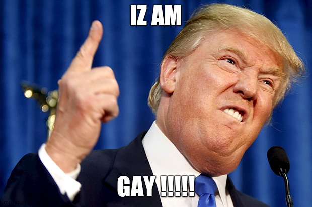 Donald Trump | IZ AM; GAY !!!!! | image tagged in donald trump,gay,gay pride,he's the only bad one,gaaaaaaaaay | made w/ Imgflip meme maker