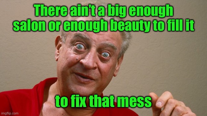Rodney Dangerfield | There ain’t a big enough salon or enough beauty to fill it to fix that mess | image tagged in rodney dangerfield | made w/ Imgflip meme maker