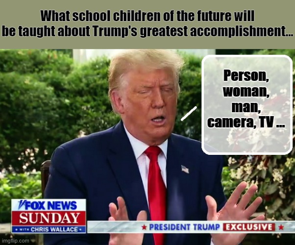 .Renaissance Man... | What school children of the future will be taught about Trump's greatest accomplishment... Person, woman, man, camera, TV ... | image tagged in trump is a moron,donald trump is an idiot,trump stable genius | made w/ Imgflip meme maker