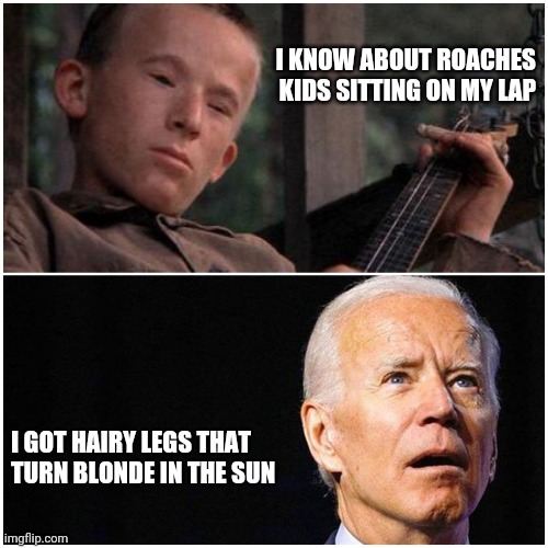 Dueling Bidens | I KNOW ABOUT ROACHES
KIDS SITTING ON MY LAP; I GOT HAIRY LEGS THAT 
TURN BLONDE IN THE SUN | image tagged in dueling bidens | made w/ Imgflip meme maker