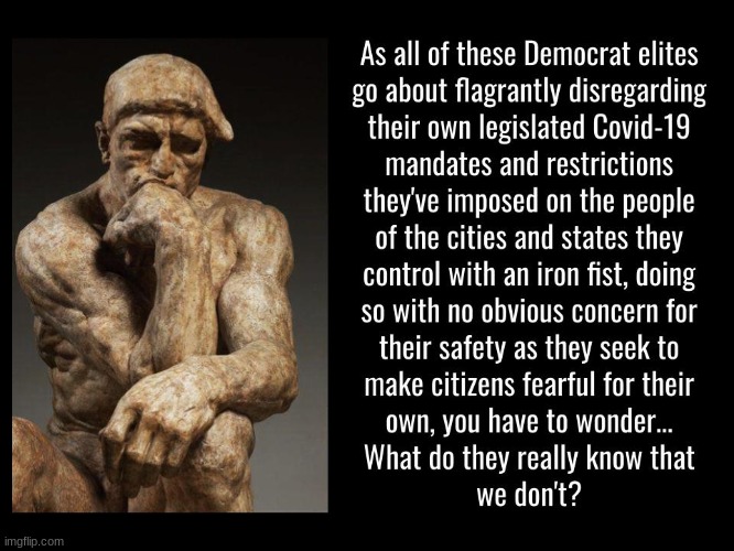 How many believe Democrats colluded with China to give us this Plannedemic? There's no low too low they won't sink to for power. | image tagged in covid-19,democrats,ruling class elites,political,politics | made w/ Imgflip meme maker
