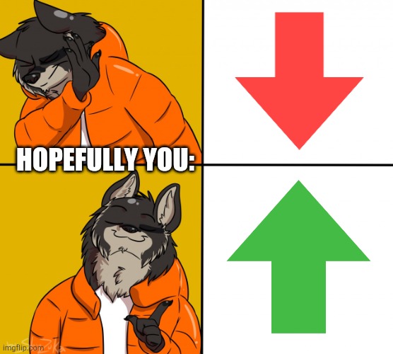 If it's furry it's not a repost. | HOPEFULLY YOU: | image tagged in furry drake hotline bling,upvotes | made w/ Imgflip meme maker