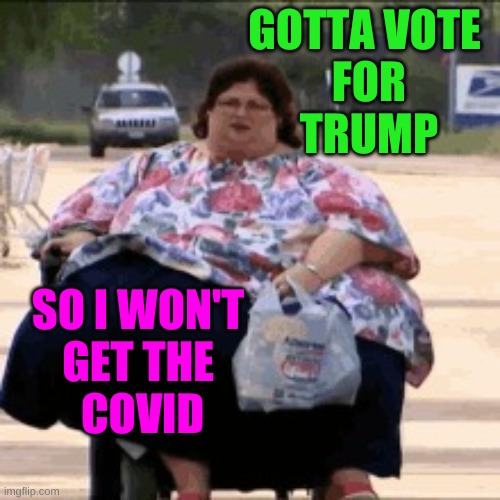 politics obese scooter Memes GIFs Imgflip