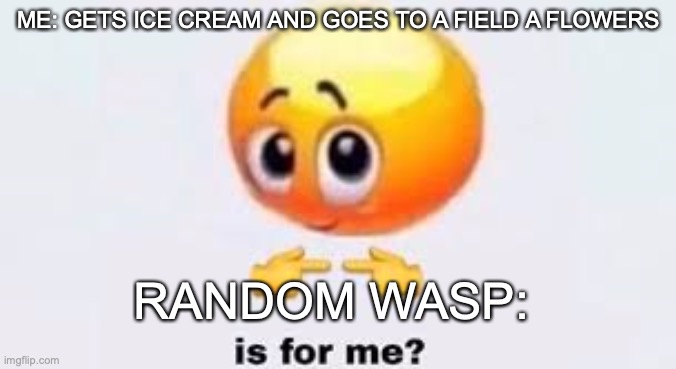 Is for me | ME: GETS ICE CREAM AND GOES TO A FIELD A FLOWERS; RANDOM WASP: | image tagged in is for me | made w/ Imgflip meme maker