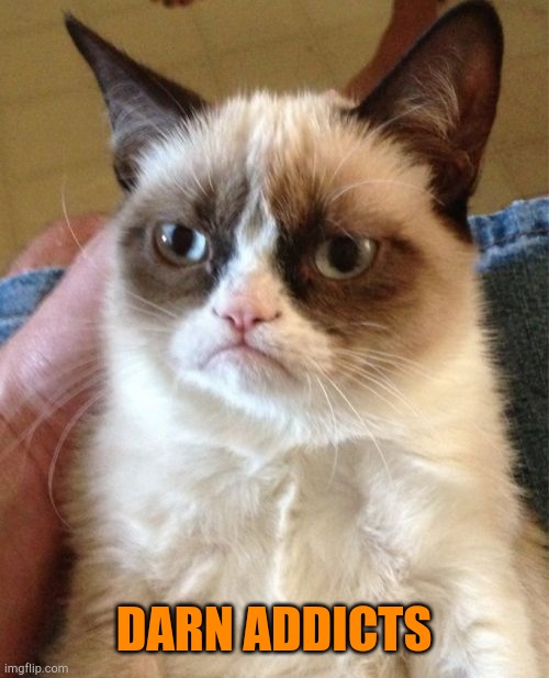 Grumpy Cat Meme | DARN ADDICTS | image tagged in memes,grumpy cat | made w/ Imgflip meme maker