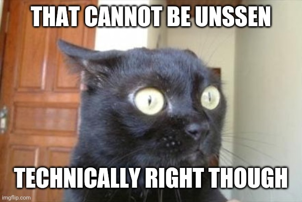 Cannot Be Unseen Cat | THAT CANNOT BE UNSSEN TECHNICALLY RIGHT THOUGH | image tagged in cannot be unseen cat | made w/ Imgflip meme maker