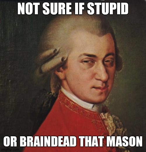 Mozart Not Sure Meme | NOT SURE IF STUPID OR BRAINDEAD THAT MASON | image tagged in memes,mozart not sure | made w/ Imgflip meme maker