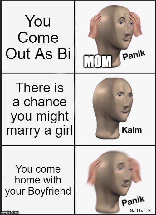 Bi Meme | You Come Out As Bi; MOM; There is a chance you might marry a girl; You come home with your Boyfriend; MalharK | image tagged in memes,panik kalm panik | made w/ Imgflip meme maker