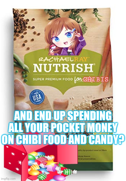 CHIBIS AND END UP SPENDING ALL YOUR POCKET MONEY ON CHIBI FOOD AND CANDY? | made w/ Imgflip meme maker