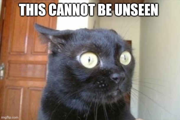 Cannot Be Unseen Cat | THIS CANNOT BE UNSEEN | image tagged in cannot be unseen cat | made w/ Imgflip meme maker