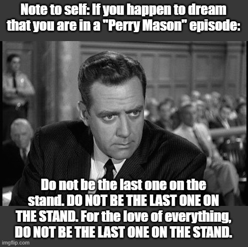 You know what I'm talking about! | Note to self: If you happen to dream that you are in a "Perry Mason" episode:; Do not be the last one on the stand. DO NOT BE THE LAST ONE ON THE STAND. For the love of everything, DO NOT BE THE LAST ONE ON THE STAND. | image tagged in funny,tv show,tv series | made w/ Imgflip meme maker