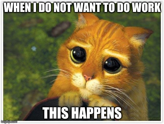 PLEASE | WHEN I DO NOT WANT TO DO WORK; THIS HAPPENS | image tagged in memes,shrek cat | made w/ Imgflip meme maker