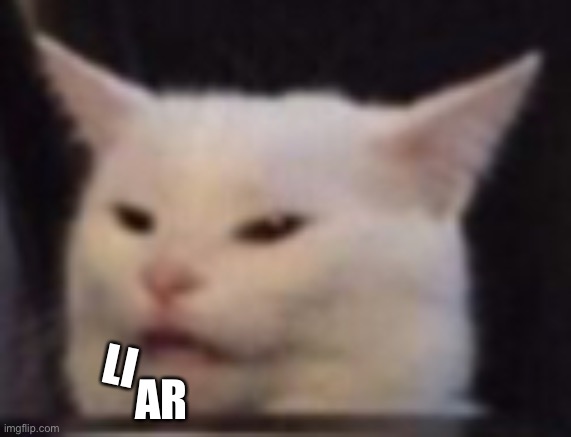 Cat | AR LI | image tagged in cat | made w/ Imgflip meme maker