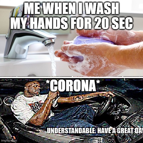 corona memes | ME WHEN I WASH MY HANDS FOR 20 SEC; *CORONA* | image tagged in understandable have a great day | made w/ Imgflip meme maker