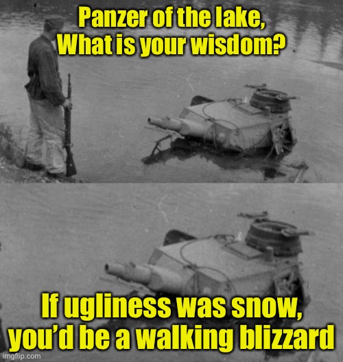 Panzer of the lake | Panzer of the lake,
What is your wisdom? If ugliness was snow,
you’d be a walking blizzard | image tagged in panzer of the lake | made w/ Imgflip meme maker