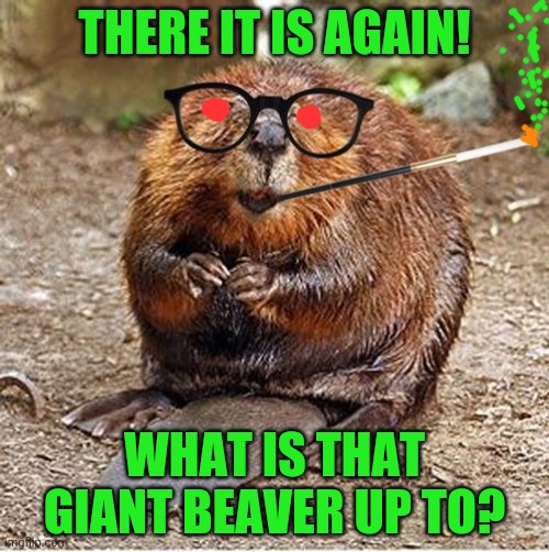 Pretentious Beaver | THERE IT IS AGAIN! WHAT IS THAT GIANT BEAVER UP TO? | image tagged in pretentious beaver | made w/ Imgflip meme maker