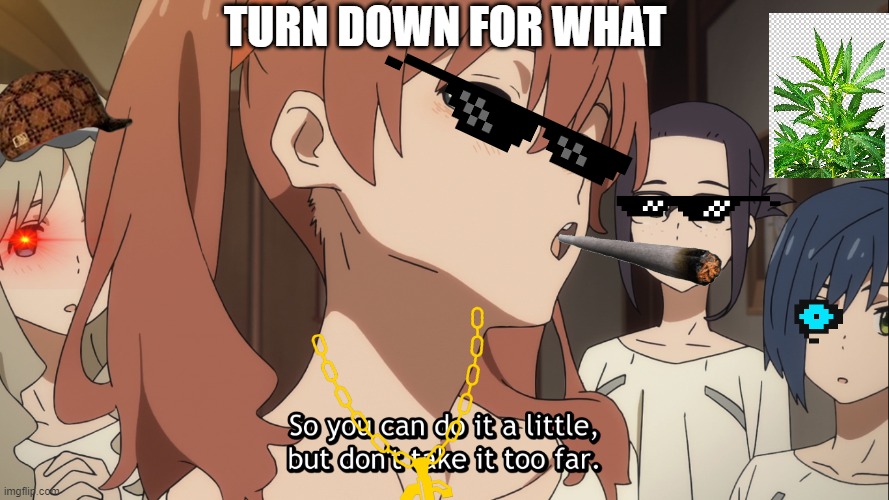 What are you looking at Baka? | TURN DOWN FOR WHAT | image tagged in chill | made w/ Imgflip meme maker