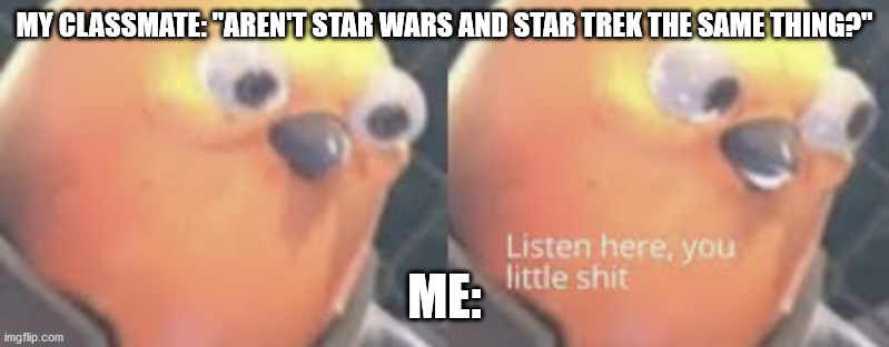 This happened (although I didn't respond quite like that) | MY CLASSMATE: "AREN'T STAR WARS AND STAR TREK THE SAME THING?"; ME: | image tagged in listen here you little shit bird | made w/ Imgflip meme maker