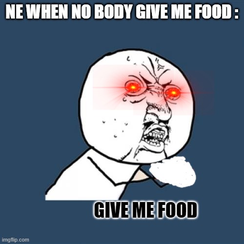 do u do this too? | NE WHEN NO BODY GIVE ME FOOD :; GIVE ME FOOD | image tagged in memes,funny | made w/ Imgflip meme maker