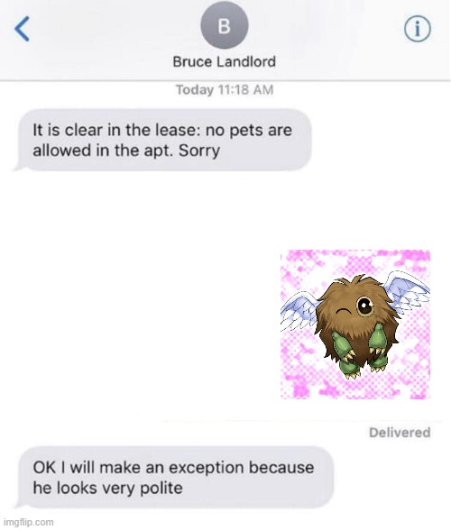 very polite fur ball | image tagged in no pets,yugioh | made w/ Imgflip meme maker
