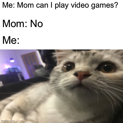 Cat video game | Me: Mom can I play video games? Mom: No; Me: | image tagged in cats,surprised cat | made w/ Imgflip meme maker