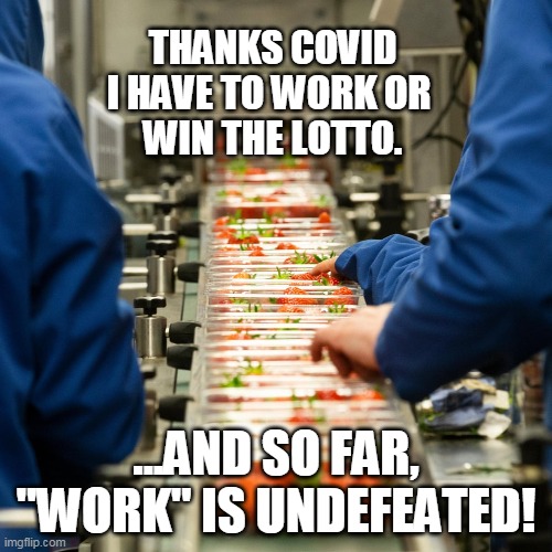 Covid 19 | THANKS COVID
I HAVE TO WORK OR 
WIN THE LOTTO. ...AND SO FAR, "WORK" IS UNDEFEATED! | image tagged in work | made w/ Imgflip meme maker