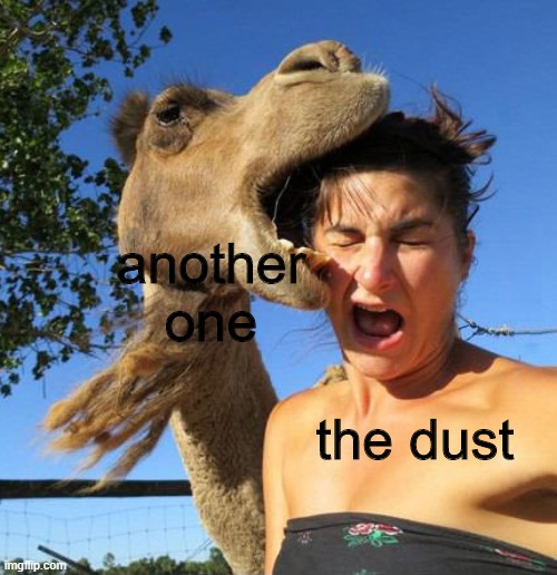 camel bite | another one; the dust | image tagged in camel bite,another one bites the dust | made w/ Imgflip meme maker