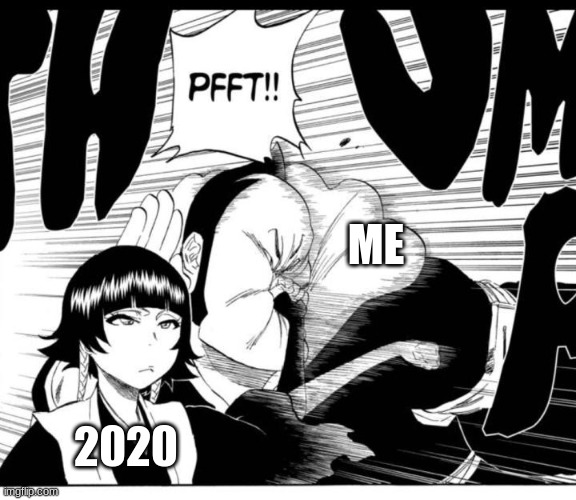 2020 in a Nutshell | ME; 2020 | image tagged in bleach,2020,2020 sucks | made w/ Imgflip meme maker