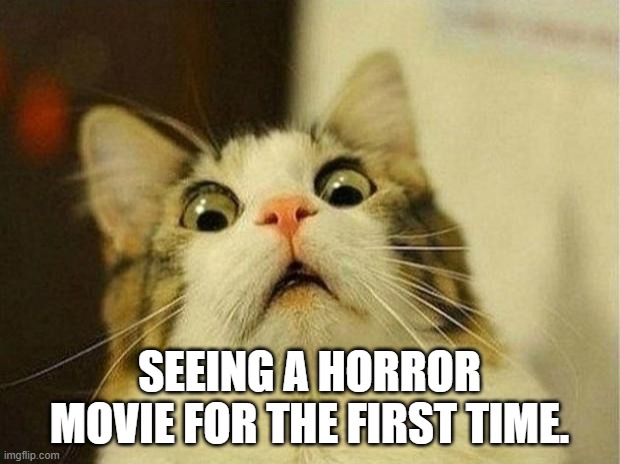 Scared Cat | SEEING A HORROR MOVIE FOR THE FIRST TIME. | image tagged in memes,scared cat | made w/ Imgflip meme maker