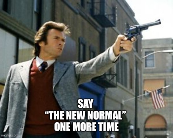 Say The New Normal One More Time | SAY 
“THE NEW NORMAL” 
ONE MORE TIME | image tagged in new normal | made w/ Imgflip meme maker