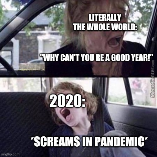 Why can't you be a good year! | LITERALLY THE WHOLE WORLD:; "WHY CAN'T YOU BE A GOOD YEAR!"; 2020:; *SCREAMS IN PANDEMIC* | image tagged in why can't you be normal blank,funny,funny memes,funny meme,2020 sucks,brimmuthafukinstone | made w/ Imgflip meme maker