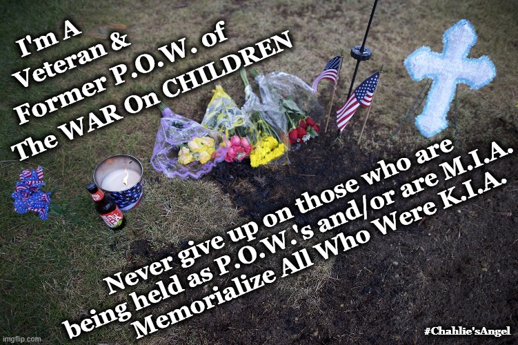 The War on Children Vet | I'm A; Veteran &; Former P.O.W. of; The WAR On CHILDREN; Never give up on those who are being held as P.O.W.'s and/or are M.I.A. Memorialize All Who Were K.I.A. #Chahlie'sAngel | image tagged in prisoners,killed,missing,child abuse,domestic abuse,domestic violence | made w/ Imgflip meme maker
