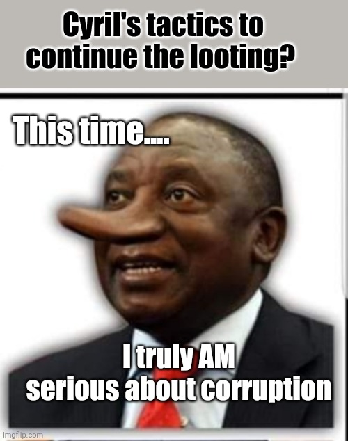 Cyril the Squirrel | Cyril's tactics to continue the looting? This time.... I truly AM serious about corruption | image tagged in squirrel,looting,government corruption,liar,liar liar | made w/ Imgflip meme maker