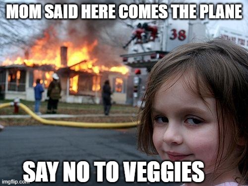 Vegetarians | MOM SAID HERE COMES THE PLANE; SAY NO TO VEGGIES | image tagged in memes,disaster girl | made w/ Imgflip meme maker
