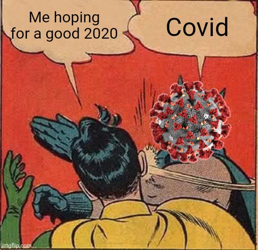 2020 sux!! | Me hoping for a good 2020; Covid | image tagged in memes,batman slapping robin,coronavirus,covid-19,covidiots,2020 | made w/ Imgflip meme maker