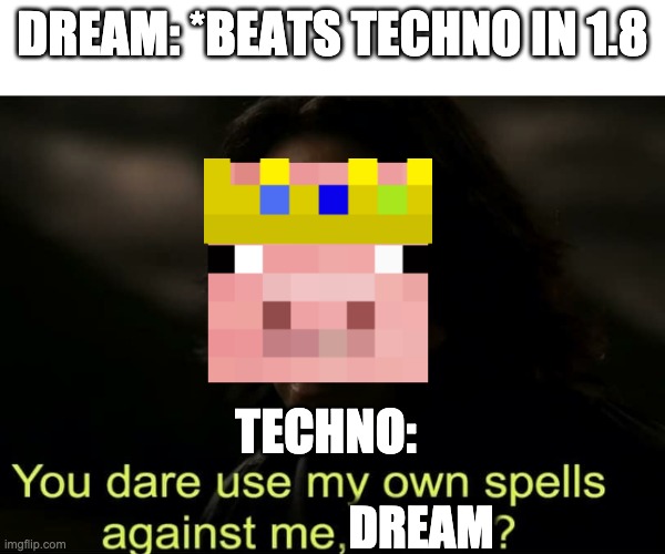 You dare use my own spells against me, Potter? | DREAM: *BEATS TECHNO IN 1.8; TECHNO:; DREAM | image tagged in you dare use my own spells against me potter | made w/ Imgflip meme maker