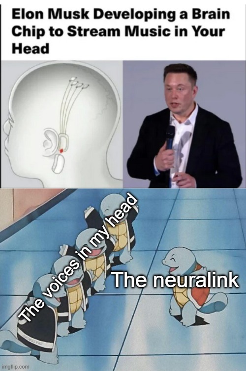 This won't end well | image tagged in squirtle squad,memes,funny,elon musk,brain | made w/ Imgflip meme maker
