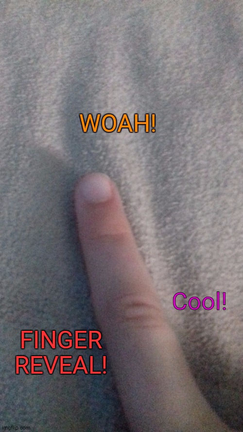 Lol | WOAH! Cool! FINGER REVEAL! | image tagged in reveal | made w/ Imgflip meme maker
