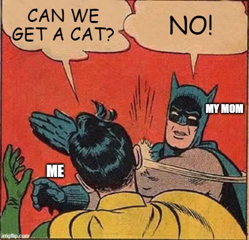 Batman Slapping Robin | CAN WE GET A CAT? NO! MY MOM; ME | image tagged in memes,batman slapping robin | made w/ Imgflip meme maker
