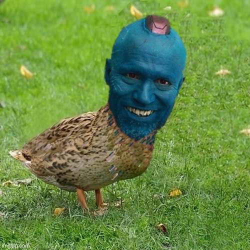 onduyay da ducksie | image tagged in onduyay da ducksie | made w/ Imgflip meme maker