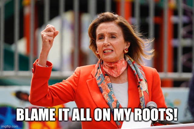 BLAME IT ALL ON MY ROOTS! | image tagged in nancy pelosi,hair,roots | made w/ Imgflip meme maker