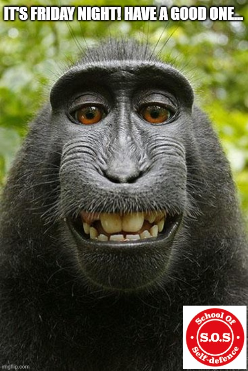 monkey selfie | IT'S FRIDAY NIGHT! HAVE A GOOD ONE... | image tagged in monkey selfie | made w/ Imgflip meme maker